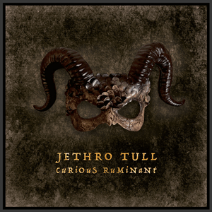 Release cover